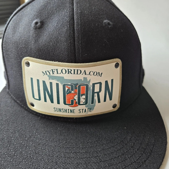 CityLocs Florida Plate Leather Patch Unicorn Black Fitted Hat Streetwear - Picture 2 of 10
